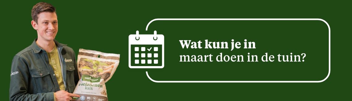 [paste advice page name here]